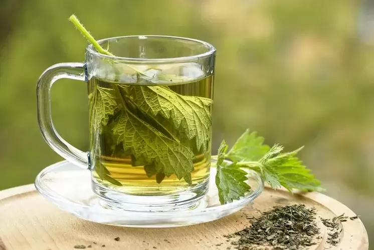 decoction of herbs for a drinking diet
